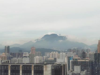 初创企业如何借助网红经济的商业模式